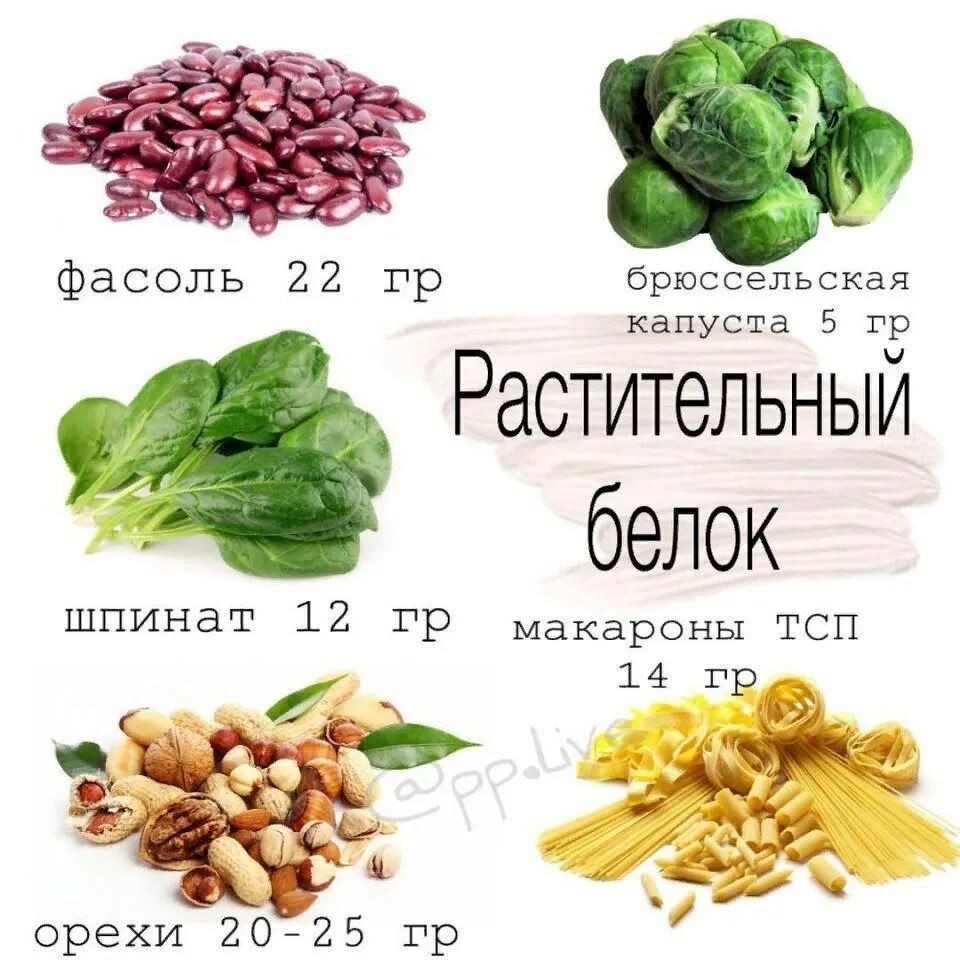 Белок в пост в каких продуктах содержится