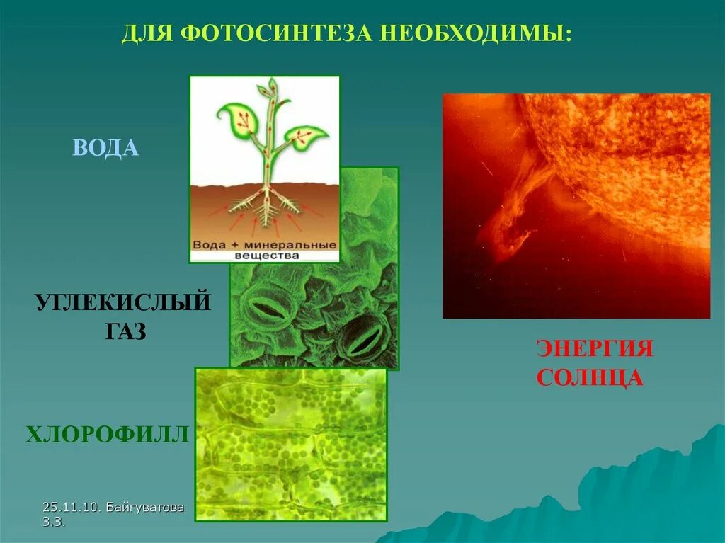 Для фотосинтеза необходимы. Вода необходима для фотосинтеза. Минеральные вещества необходимы для фотосинтеза. Вещество необходимое для фотосинтеза. Для образования в листе необходима вода