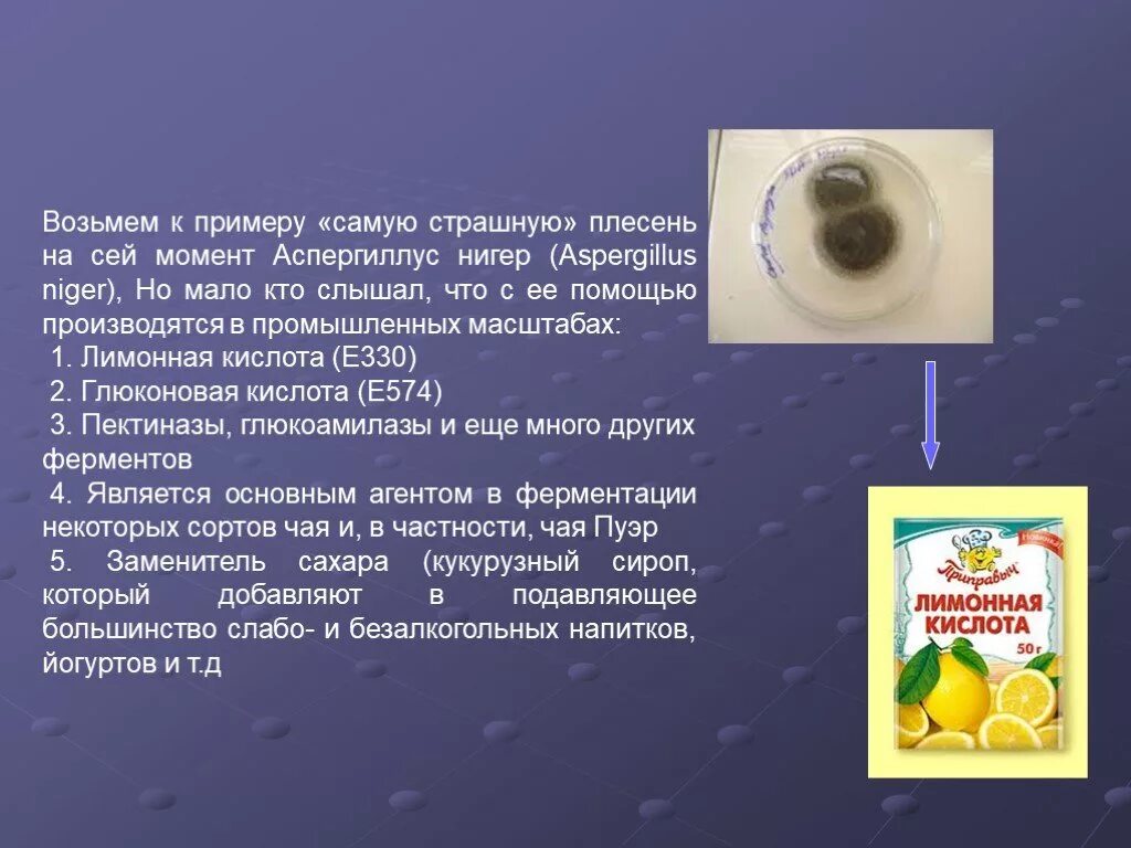 Проект плесень 9 класс. Проект плесень 9 класс. Проект плесень 9 класс. Проект плесень 9 класс. Актуальность исследования плесени.