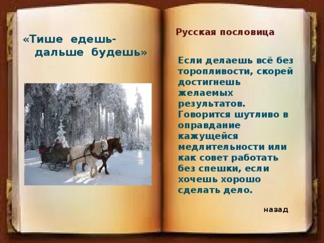 Тише едешь дальше будешь будет уместно. Тише едешь дальше будешь. Пословица тише едешь дальше. Поговорка тише едешь дальше будешь. Смысл пословицы тише едешь дальше будешь.