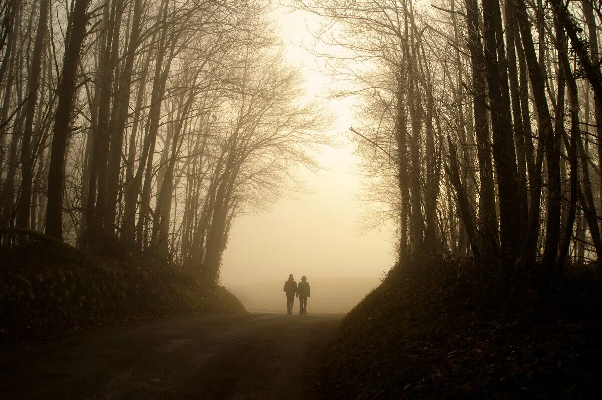Тропа далеко видна. Человек в туманном лесу. Человек в тумане. Два силуэта в тумане. Силуэт в тумане.