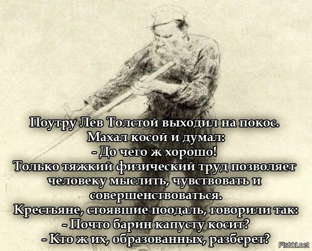 Лев толстой барин. Лев толстой косит капусту. лев толстой косит капусту анекдот. почто барин капусту косит. поутру лев толстой выходил на покос махал косой и думал.