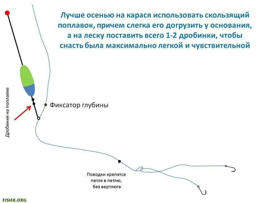 Как правильно карася