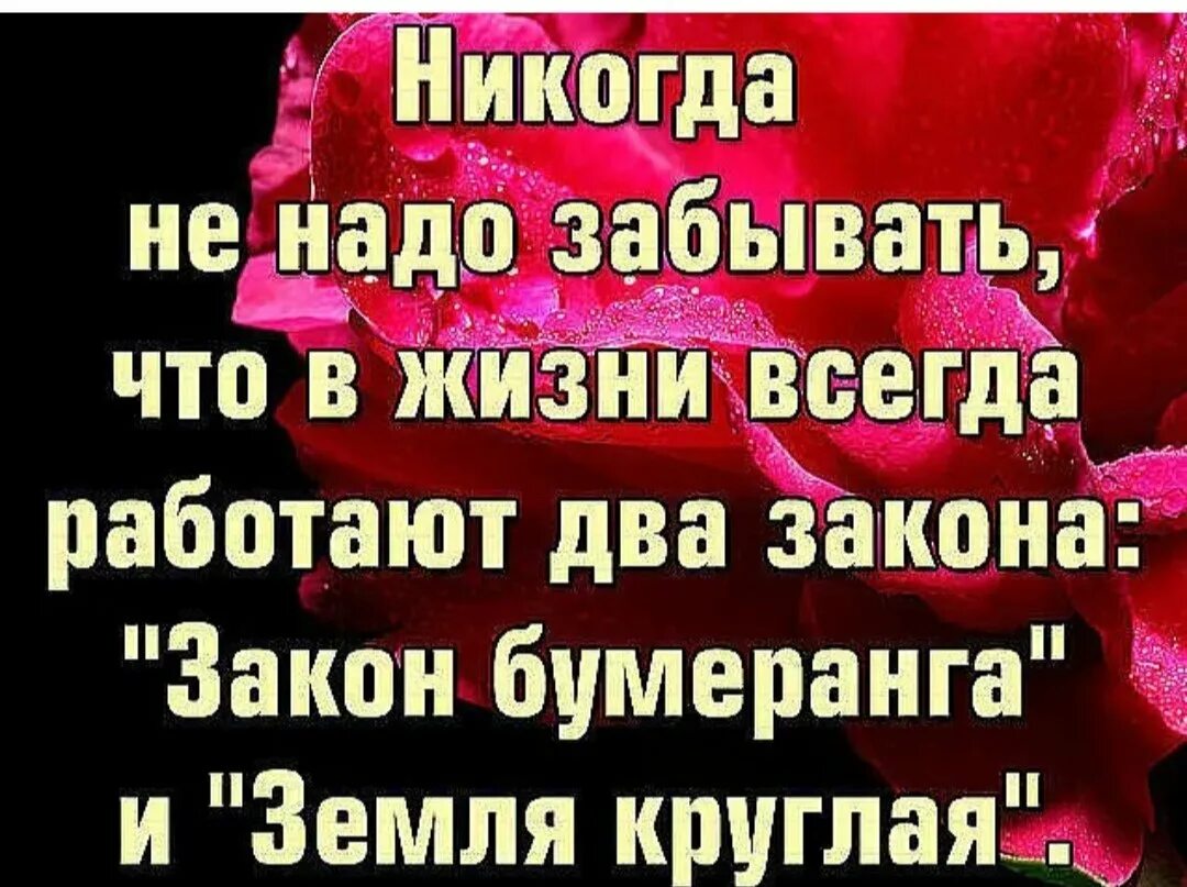 Не надо забывать. Никогда не надо забывать что в жизни работает два закона. закон бумеранга и земля круглая. земля круглая высказывания. земля круглая цитаты.