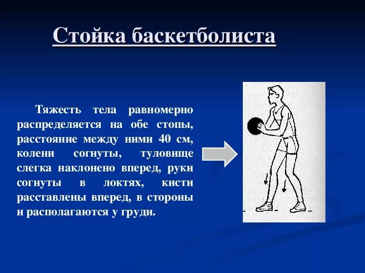Правильное положение в защитной стойке баскетболиста