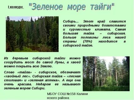 Объяснить тайга