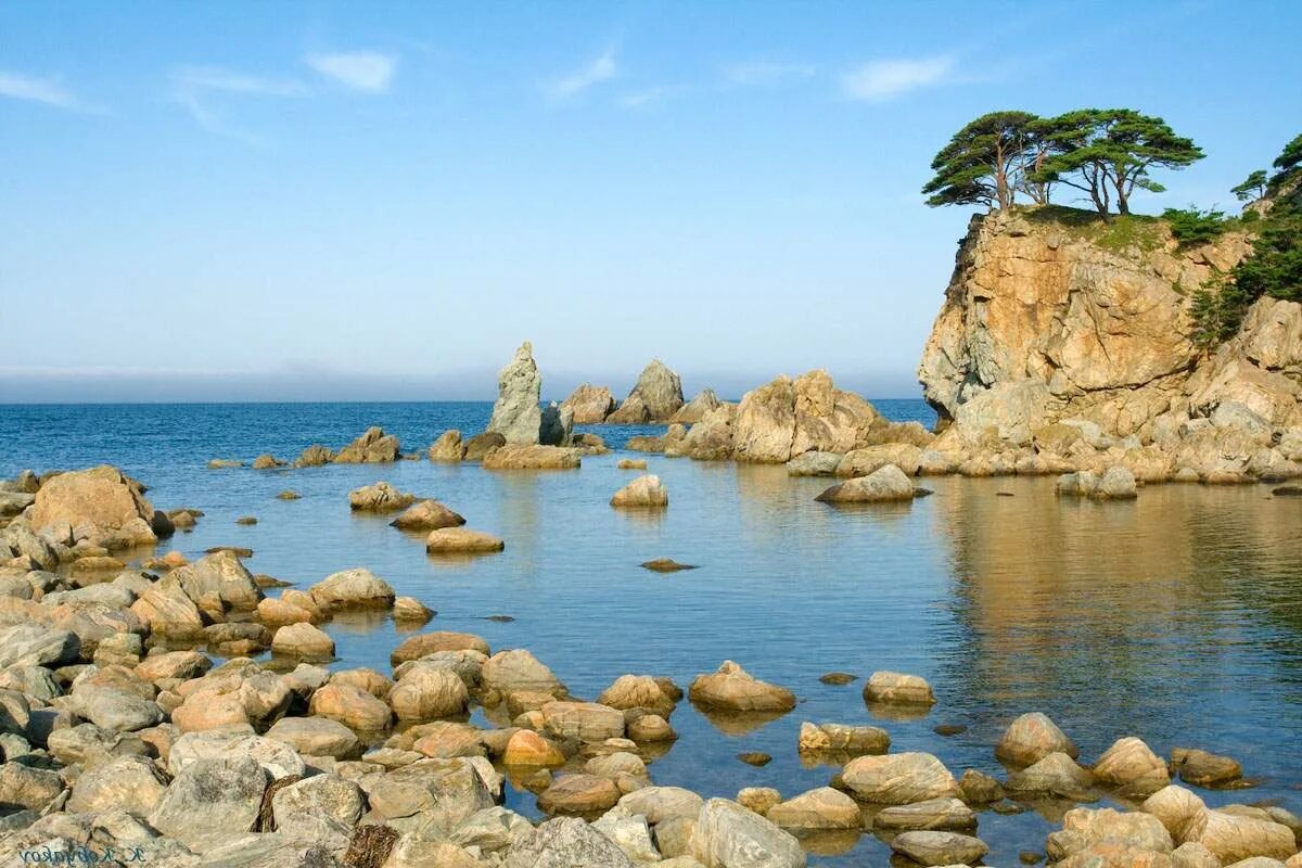 Дальневосточный морской заповедник сивучи. Острова феникс кирибати. Дальневосточный морской заповедник фауна. Дальневосточный морской биосферный заповедник. Акиваку.