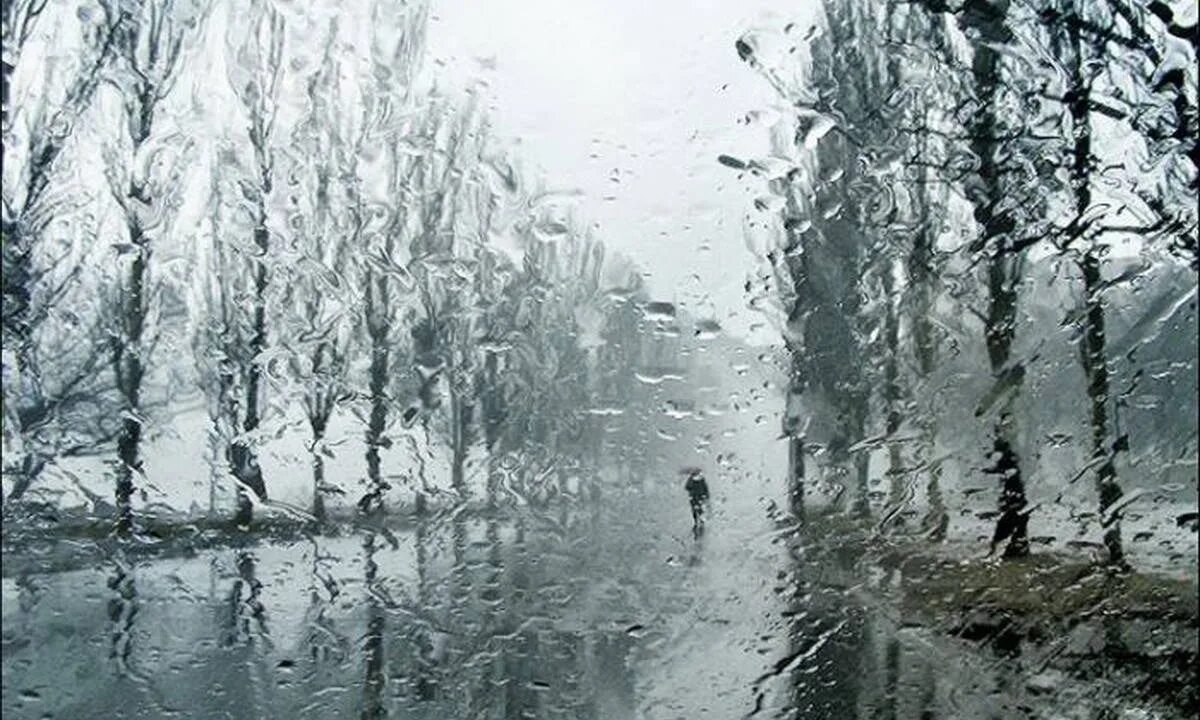 Ноябрь осадки