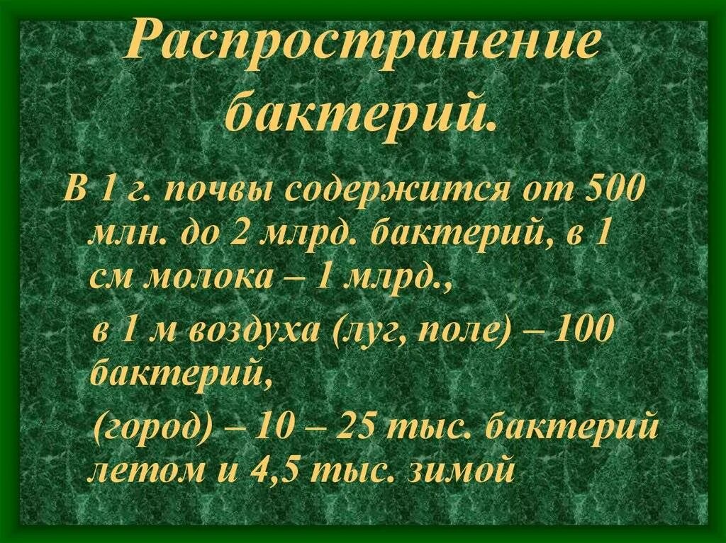 Состав почвенного и атмосферного воздуха таблица. Воздух задерживающийся в почве необходимым корням для. Формы почвенного воздуха. В почве содержится воздух. Состав почвы перегной.