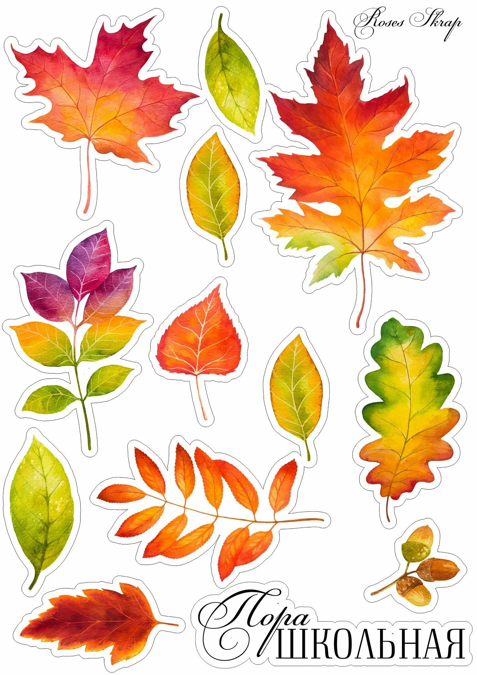 Осенние листики для вырезания. Рисунки листьев. Листья для вырезания цветные. Осенние наклейки.