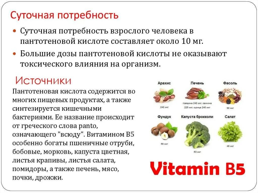 В каких продуктах содержатся пробиотики. В каких продуктах содержится пробиотик. пробиотики в каких продуктах содержится больше всего. в каких продуктах питания содержатся пробиотики..