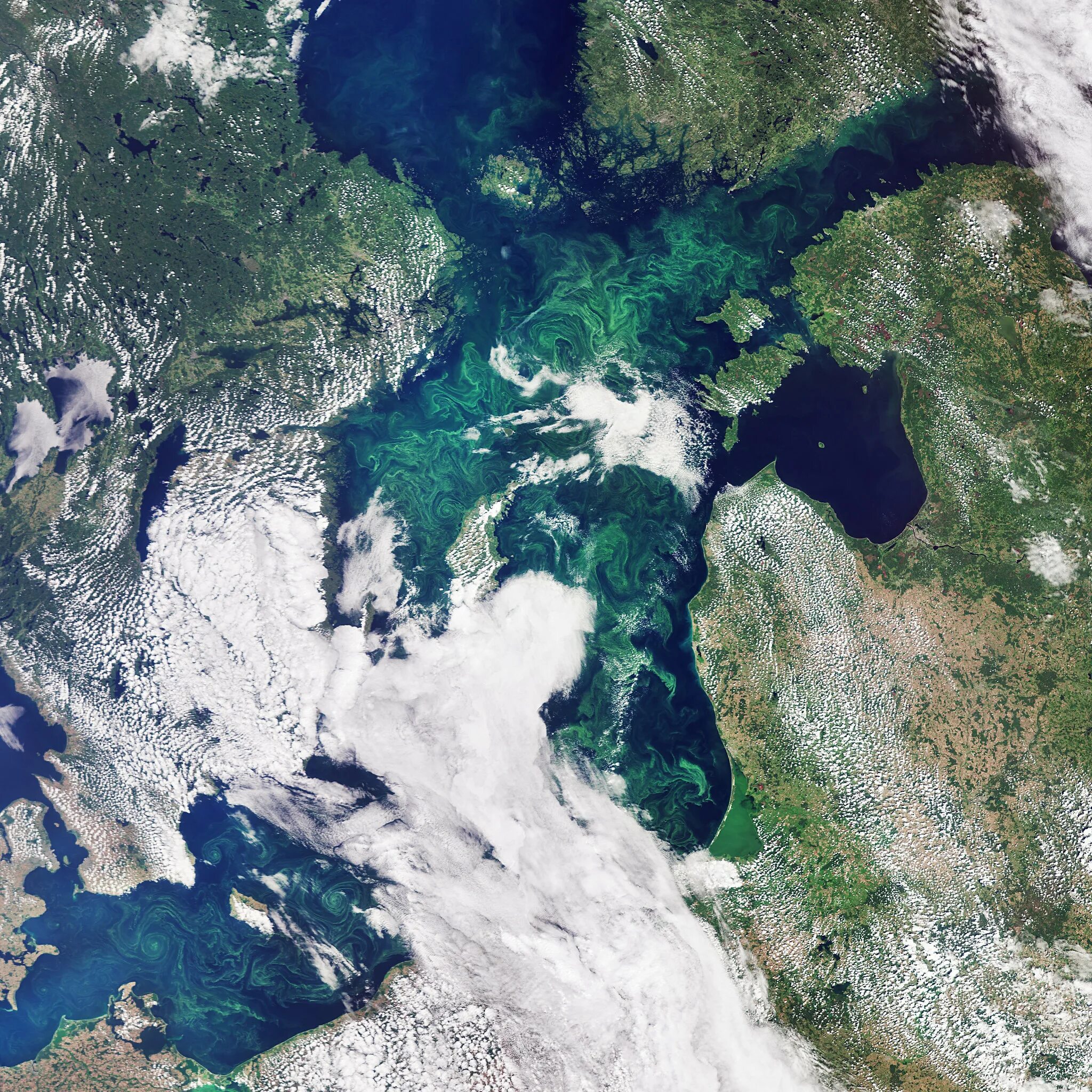 Океан в реальном времени. Саргассово море со спутника. Атлантический океан снимок из космоса. Тихий и Атлантический океан со спутника. Атлантический океан со спутника.