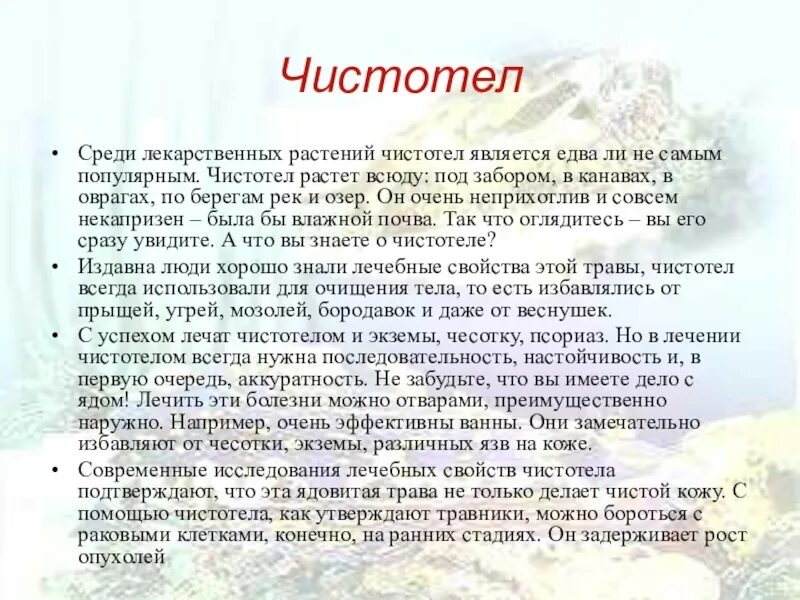 Чистотел свойства. Что лечит чистотел. Чем полезен чистотел. Чистотел чем полезен и что лечит. Как принимать чистотел внутрь