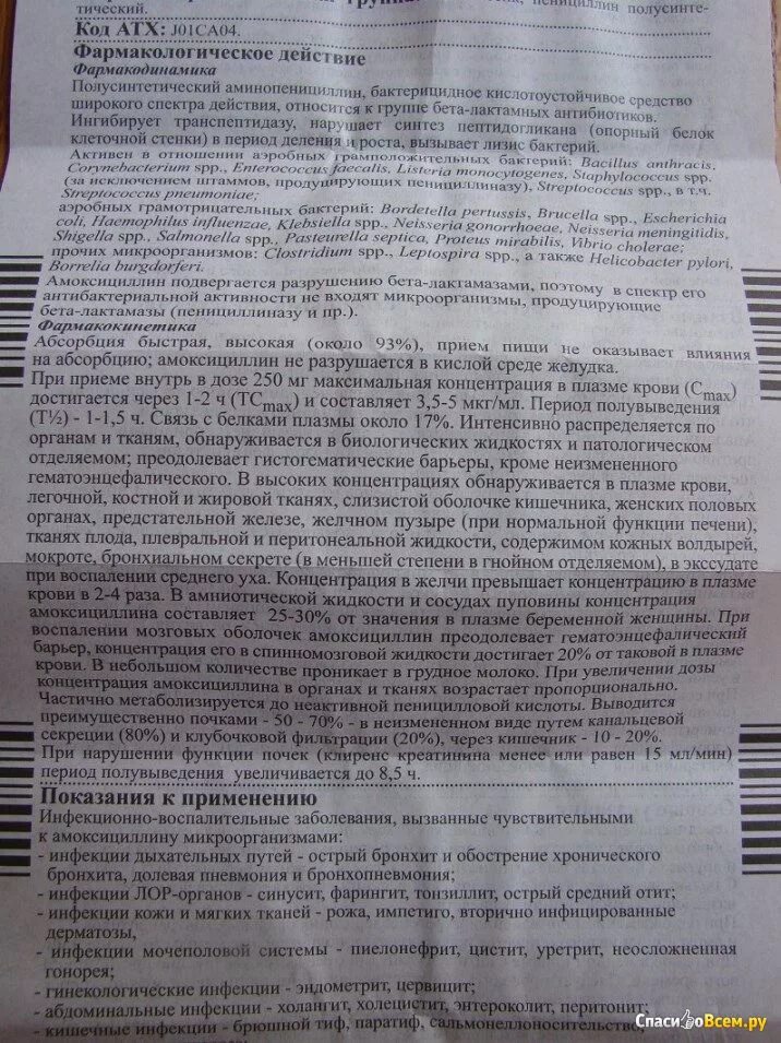 Амоксициллин 500 сколько пить взрослому