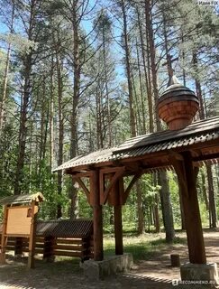 Погода орловское полесье