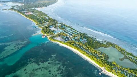 Canareef resort maldives 4