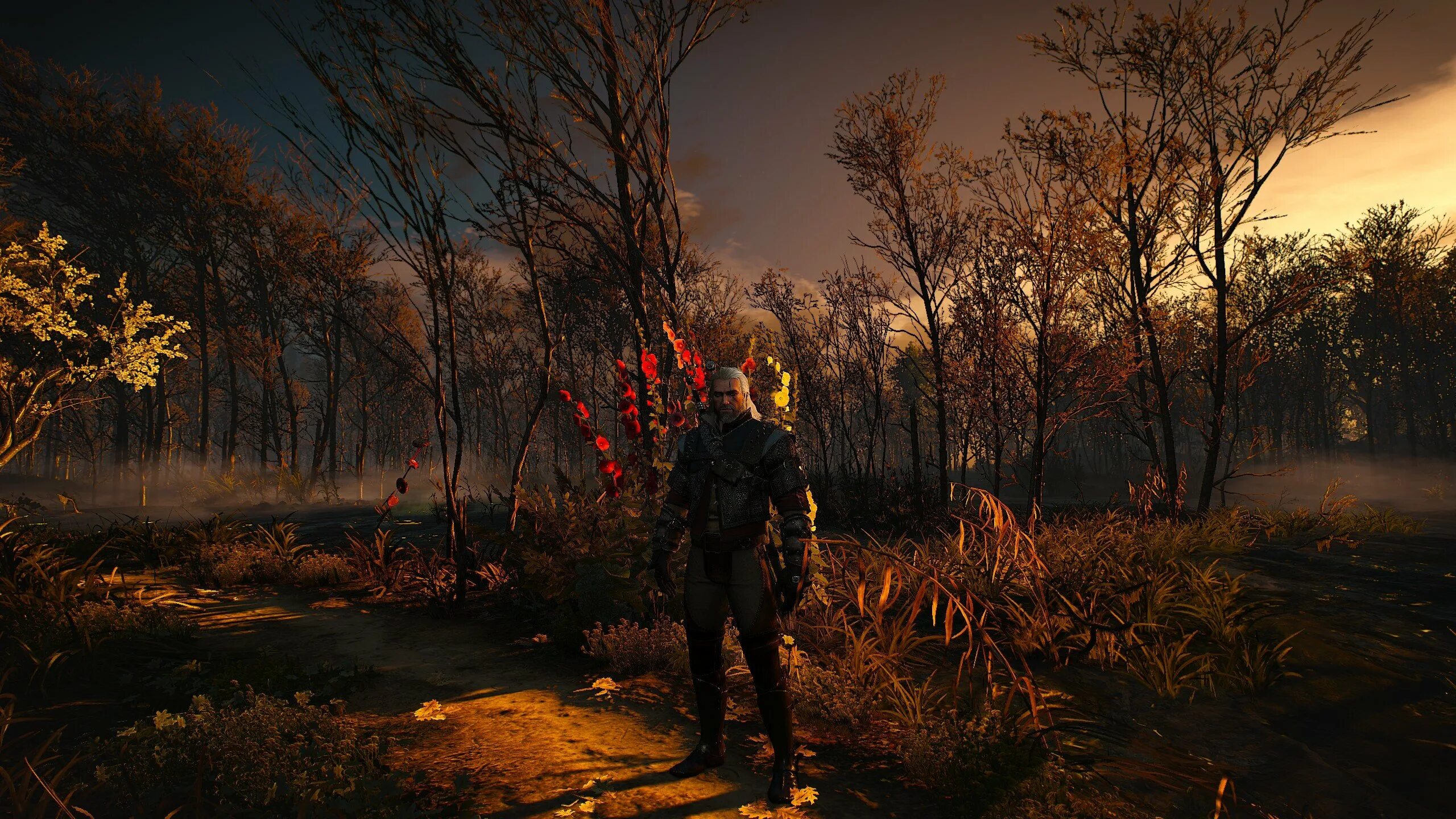 Witcher redux. Witcher redux