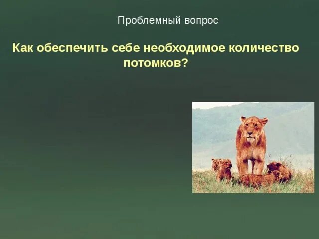 Чем подкреплял себя электроник. Как обеспечить себе необходимое количество потомков. Число потомков животных. Как обеспечить своих животных. Количество потомства это.