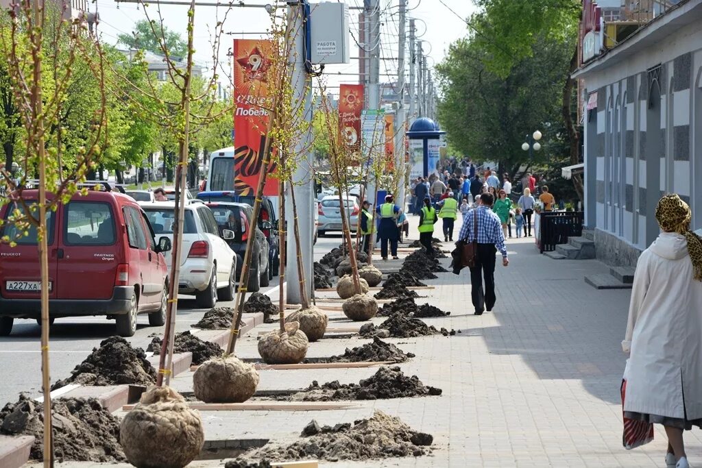 Парк южный брюховецкая. Стрыйский парк львов. Новая аллея у уфе. Губкин липовая аллея. Сквер журналистов в грозном.