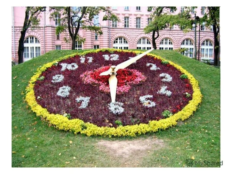 Цветочная клумба 7. Цветочные часы александровский парк. цветочные часы в александровском парке в санкт-петербурге. цветочные часы клумба. цветник виде часов.