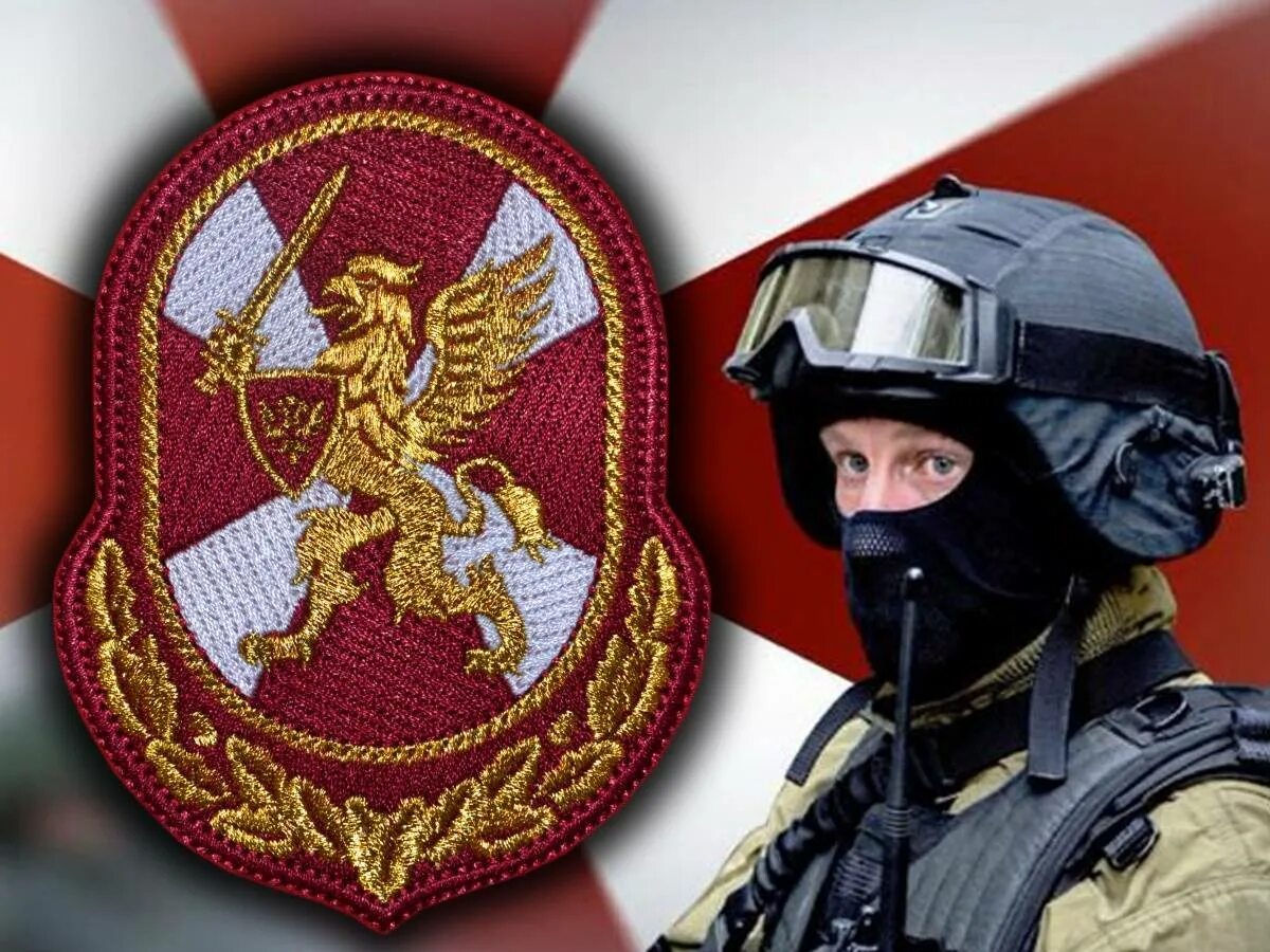 Создание внутренних войск. Внутренние войска мвд рф. (национальная гвардия). внг рф войска. войска внг войска национальной гвардии. национальная гвардия внг.