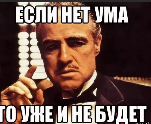 Если б не она что тогда. Ума нет. Мемы про ум. Ума нет Мем. Если нет то нет.