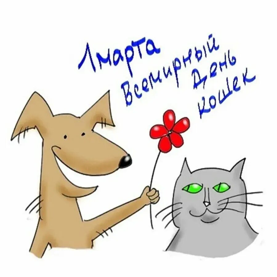 День кошек в россии 2024 год. Всемирный день кошек. Международный день Коше. 1 Марты Всемирный день клше.