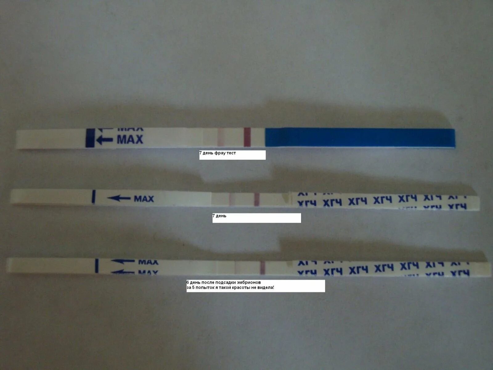 Выкидыши тест на беременность. Фрау тест и ХГЧ. Фрау тест на беременность ХГЧ. Тесты на беременность по дням. Фраутест и уровень ХГЧ.