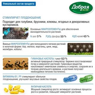 Как развести электролит для голубики