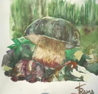 Боровик рисунок