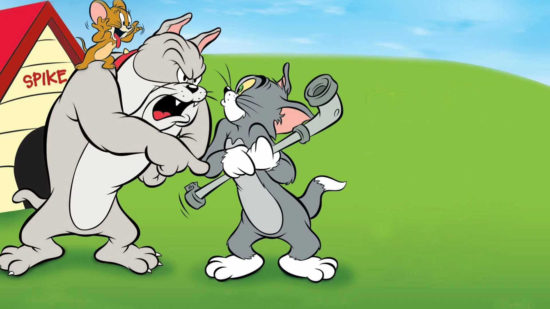Против джерри. Tom and Jerry. Том и Джерри Tom and Jerry. Том и Джерри 1995.
