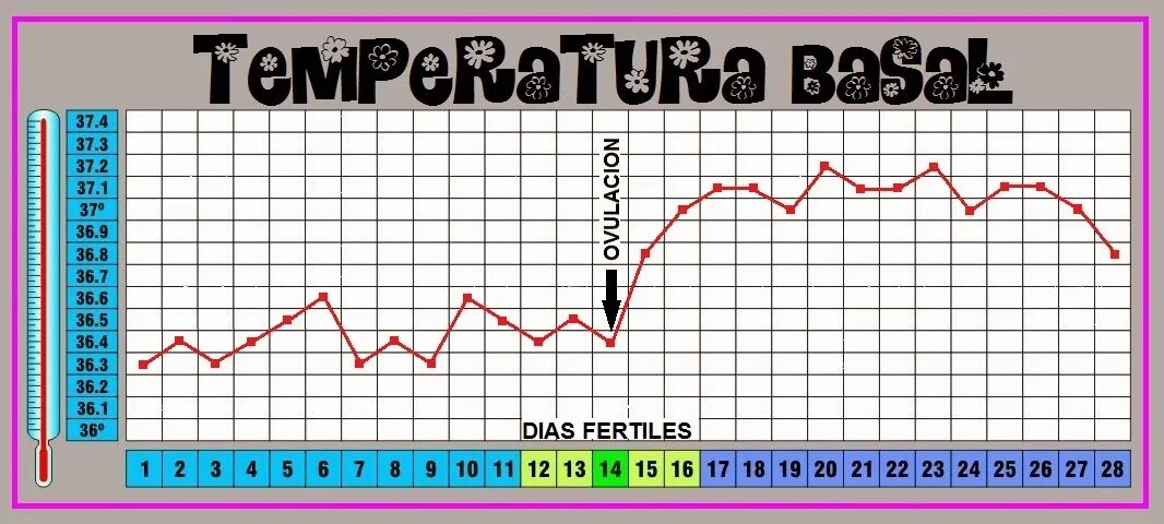 Температура 5 апреля 2024. Базал температура. Grafik bazalnoy temperaturi беременной.
