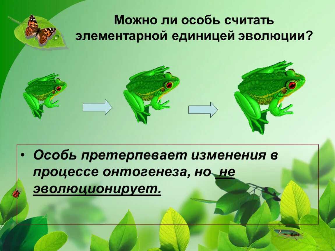 Презентация по биологии популяция элементарная единица эволюции. Популяция как элементарная эволюционная единица. популяция как структурная единица эволюции. единица эволюции особь.