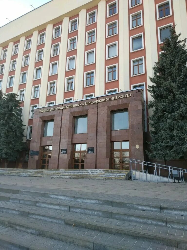 МЫ - вместе!": тематический флешмоб провели в Гомельском медуниверситете