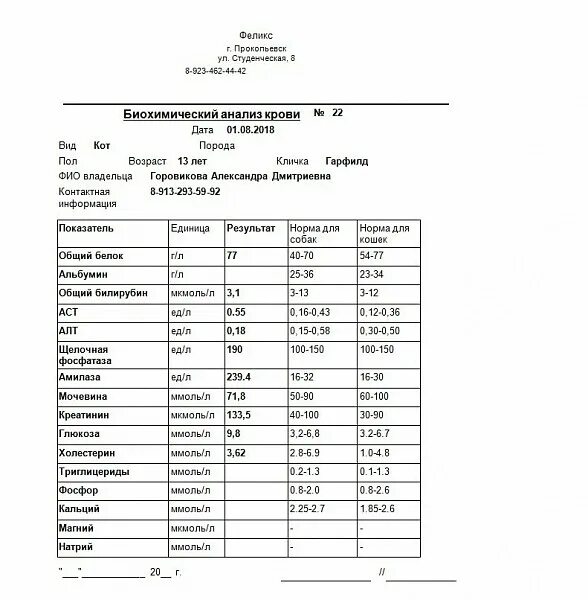 Направление на кровь бланк биохимического анализа крови. Биохимический анализ крови норма бланк. Направление на анализ крови для биохимического исследования. Биохимический анализ крови форма Бланка.