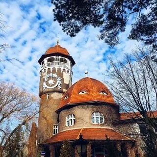 Цветы светлогорск калининградская область
