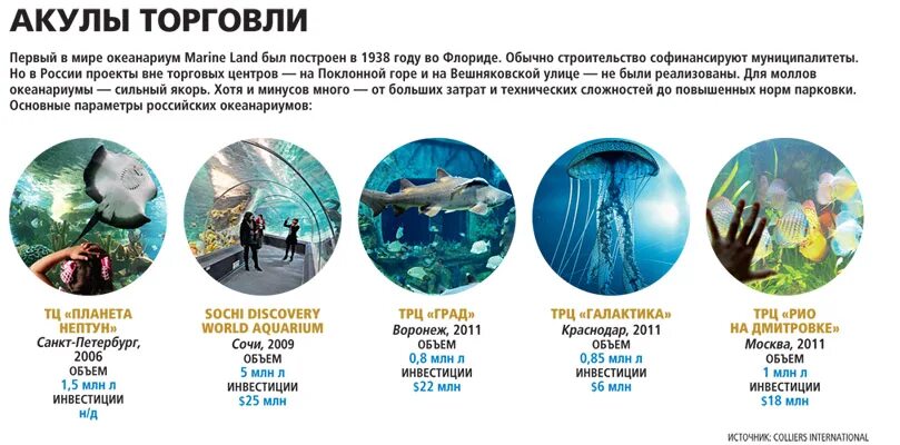 Московский аквариум москвариум. Океанариум планета нептун. Океанариум sea life в хельсинки. Московский аквариум океанариум на вднх. Рекламный буклет про океанариум.