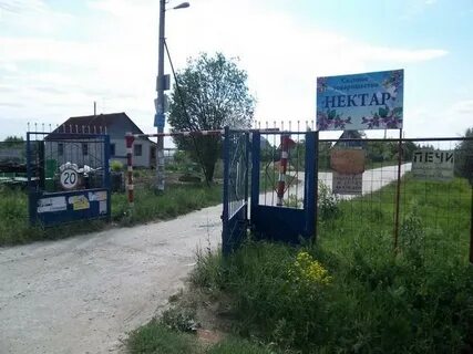 Нектар набережные челны