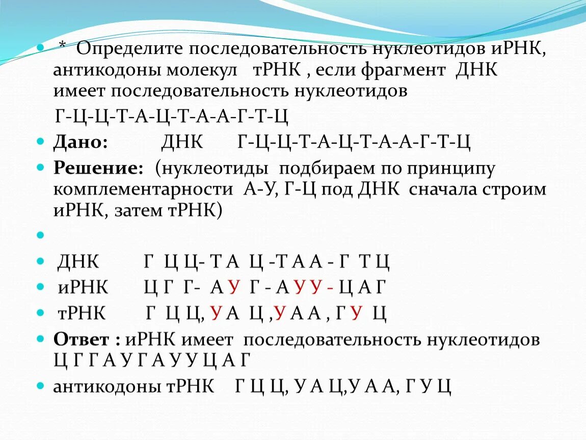 Транскрипция мутация. ТРНК последовательность нуклеотидов. Цепочка ДНК ИРНК ТРНК. ДНК Т ДНК ИРНК ТРНК. Принцип комплементарности РНК И ИРНК.