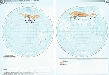 Лена на карте полушарий