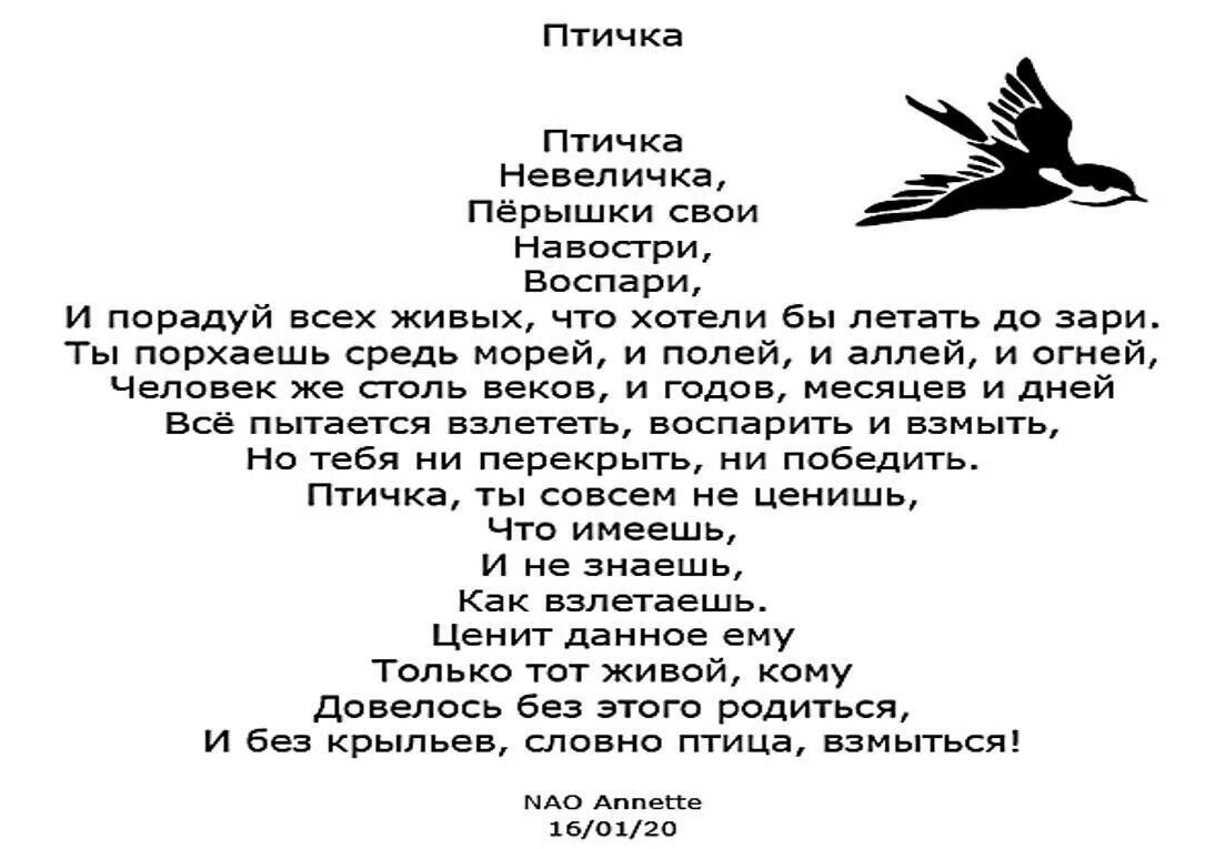 Стихотворение птичка. Стихи про птиц. Птицы в поэзии. Автор стихотворения птичка. Птицей стать слова