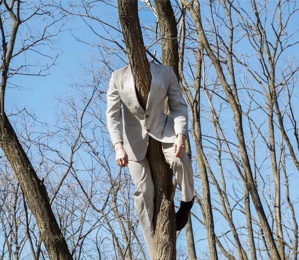 Мозг скульптура. Чудеса природы. Странная ситуация. Необычные и смешные картинки. Необычные фото.