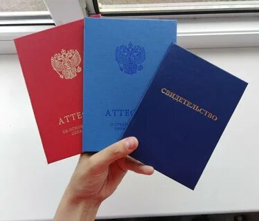 Аттестаты в 9 классе по цветам