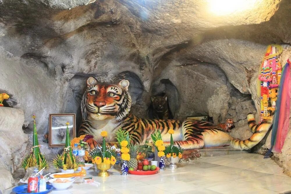 пещера тигра. пещера тигра. храм «пещера тигра» лестница. пещера тигра. пещера тигра.