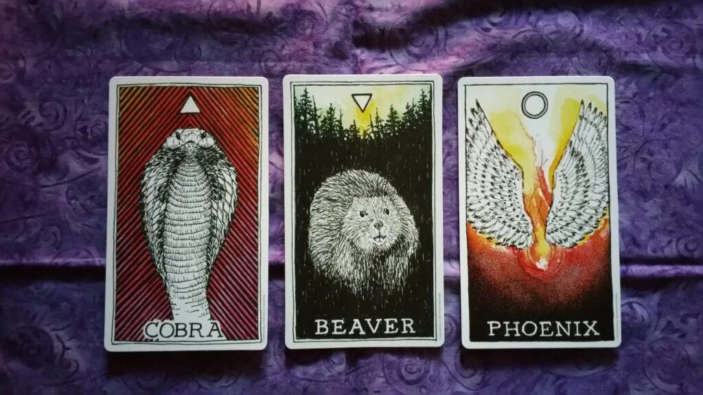 Animal oracul оракул spirit. Карты с фиолетовой рубашкой оракул. Дикое неизвестное тотемное животное колода-оракул. Таро spirit animal oracle. Рассказывает ваше существо с предсмертным хрипом.