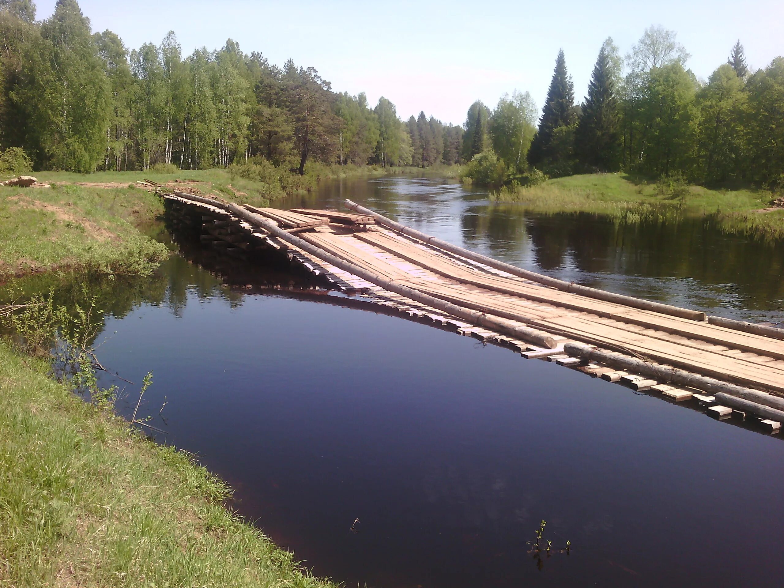 Посёлок городского типа даровской. Погода в ежихе. Погода в ежихе. Погода в ежихе. Погода в ежихе.