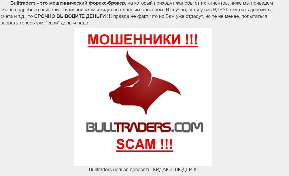 Https bulldrop net. Промокоды на BULLDROP. Промокоды BULLDROP 2022. Булл трейдерс. BULLDROP Promo.