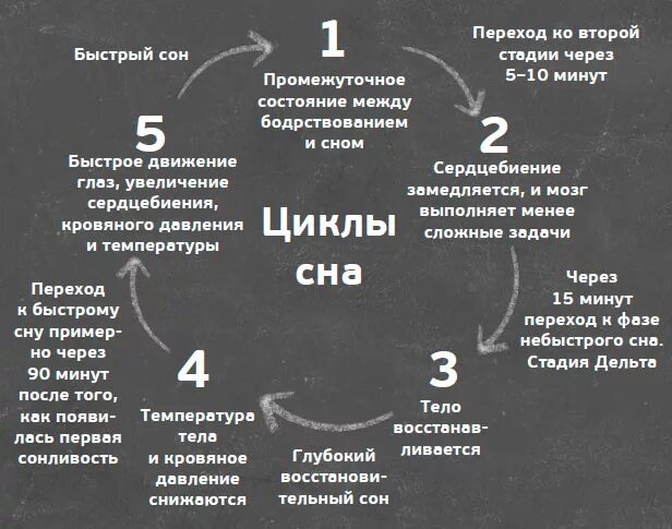 Как влияет состояние человека на характер сновидений. Циклы сна. Стадии и циклы сна. Ночные циклы сна. Фазы сна.