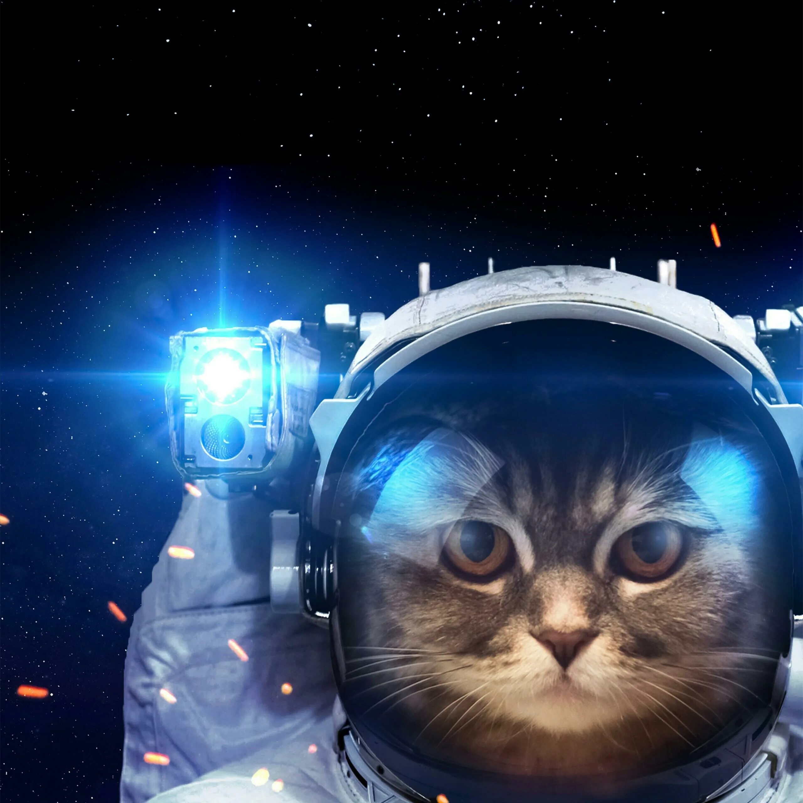 Космический кот. Кот космонавт. Животные в скафандре. Котик в космосе.