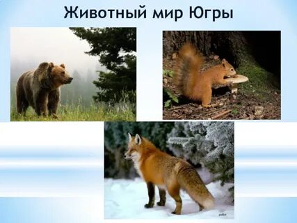 Мир югры